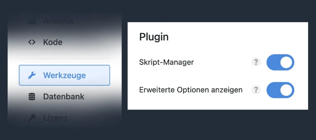 Perfmatters Skript Manager aktivieren und Erweiterte Optionen anzeigen